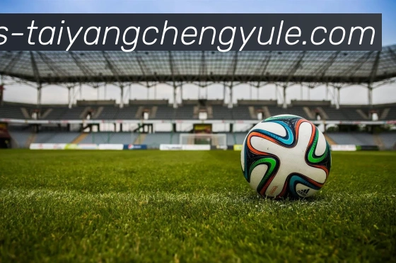 太阳城网站平台生态图