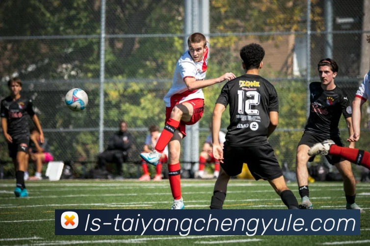 太阳城网站全站App